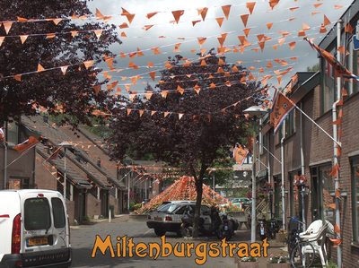 716533 Fotopaneeltje, met een afbeelding van de met oranje versierde Miltenburgstraat te Utrecht. De versiering is ...